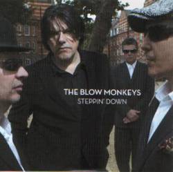 The Blow Monkeys : Steppin' Down